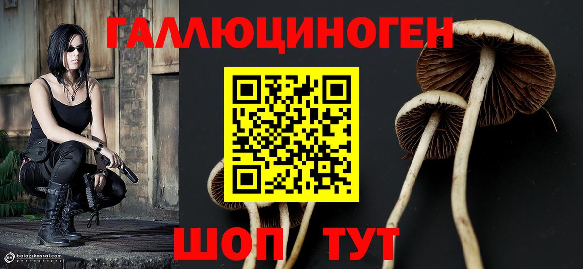 Галлюциногенные грибы GOLDEN TEACHER  Вход с VPN  Тихвин 
